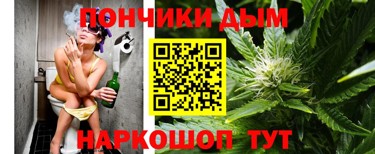 Бошки Шишки MAZAR Сосновый Бор